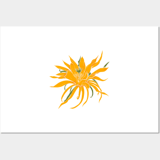 Exotic sun flower Posters and Art